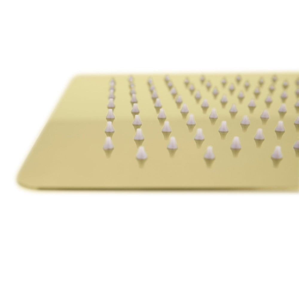 ZLINE Bliss 12 in. Rainfall Shower Head in Polished Gold (BLS-H12-PG)