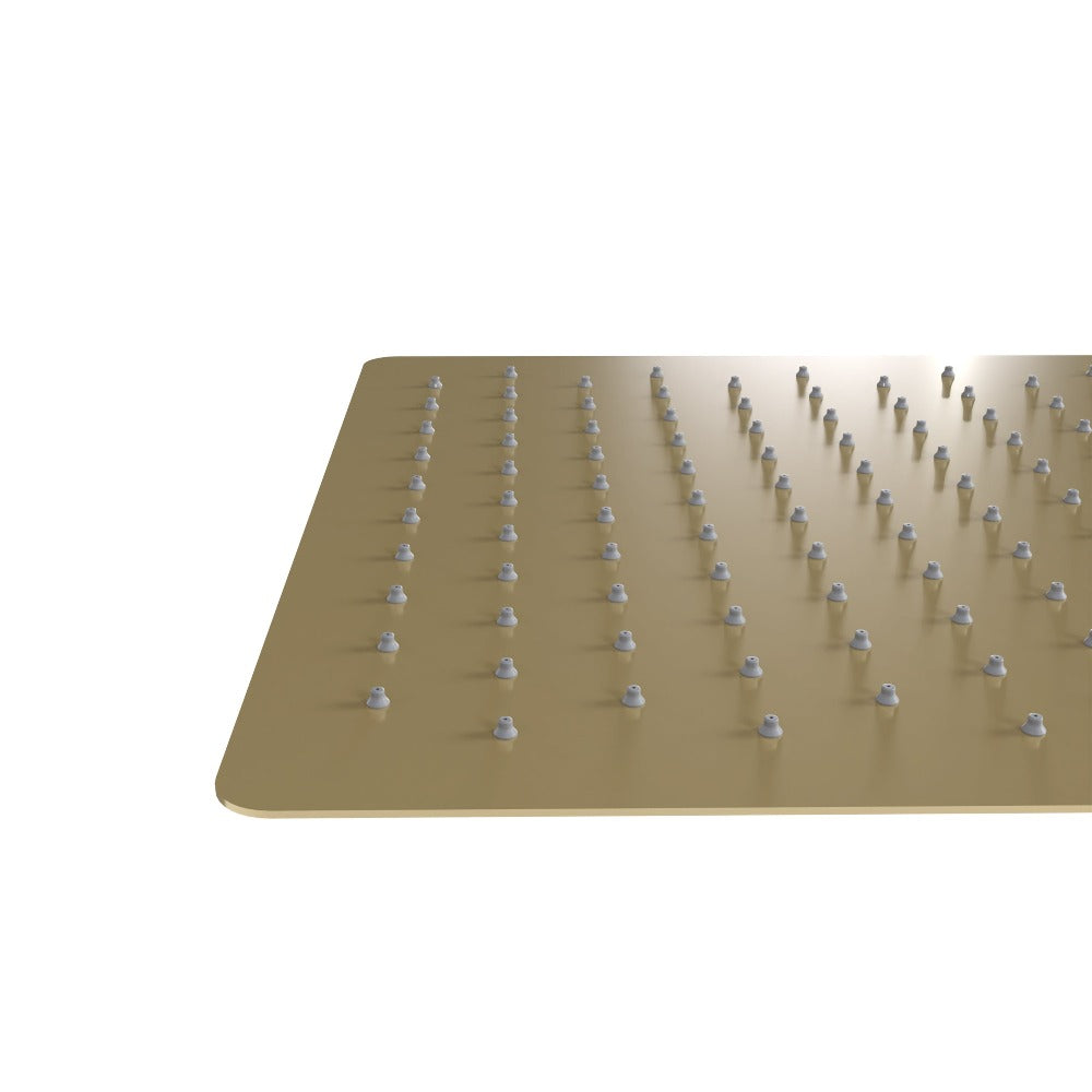 ZLINE Bliss 16 in. Rainfall Shower Head in Champagne Bronze (BLS-H16-CB)