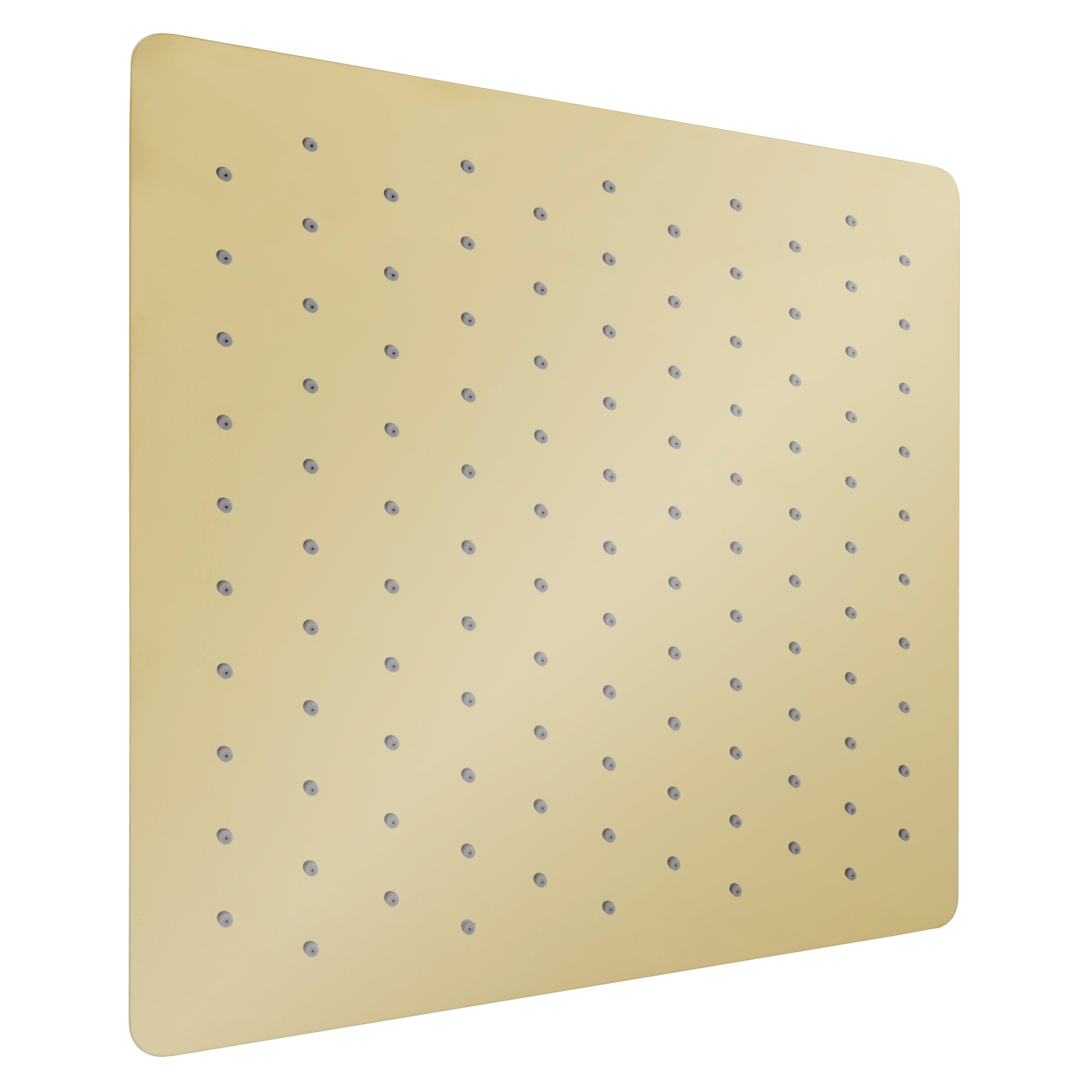 ZLINE 16" Bliss Shower Head in Polished Gold (BLS-H16-PG)