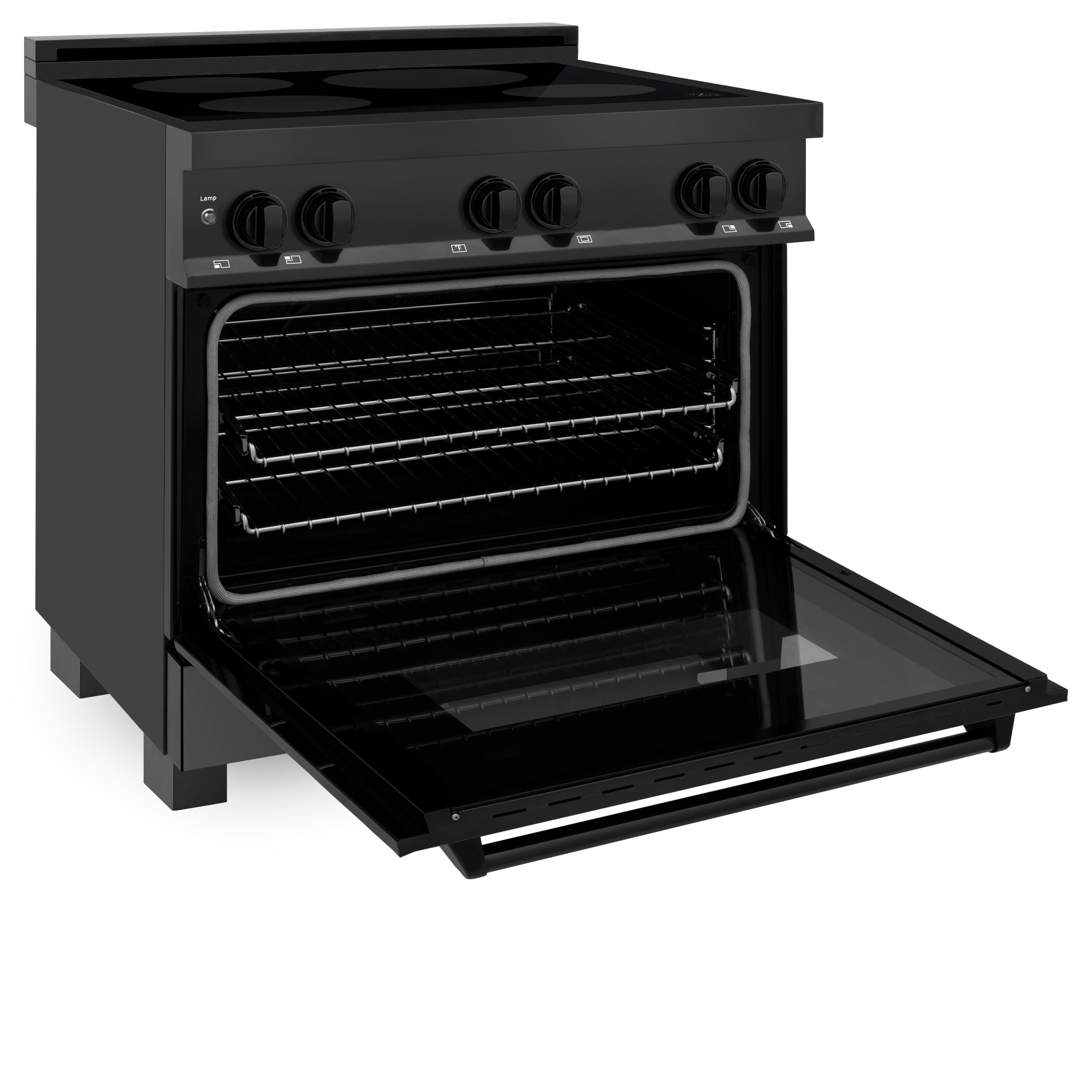 ZLINE Induction Range with a 4 Element Stove and Electric Oven in Black Stainless Steel (RAIND-BS)